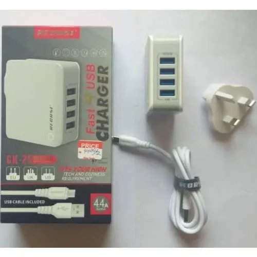 RECRSI CH-401 CHARGER WITH MICRO CABLE